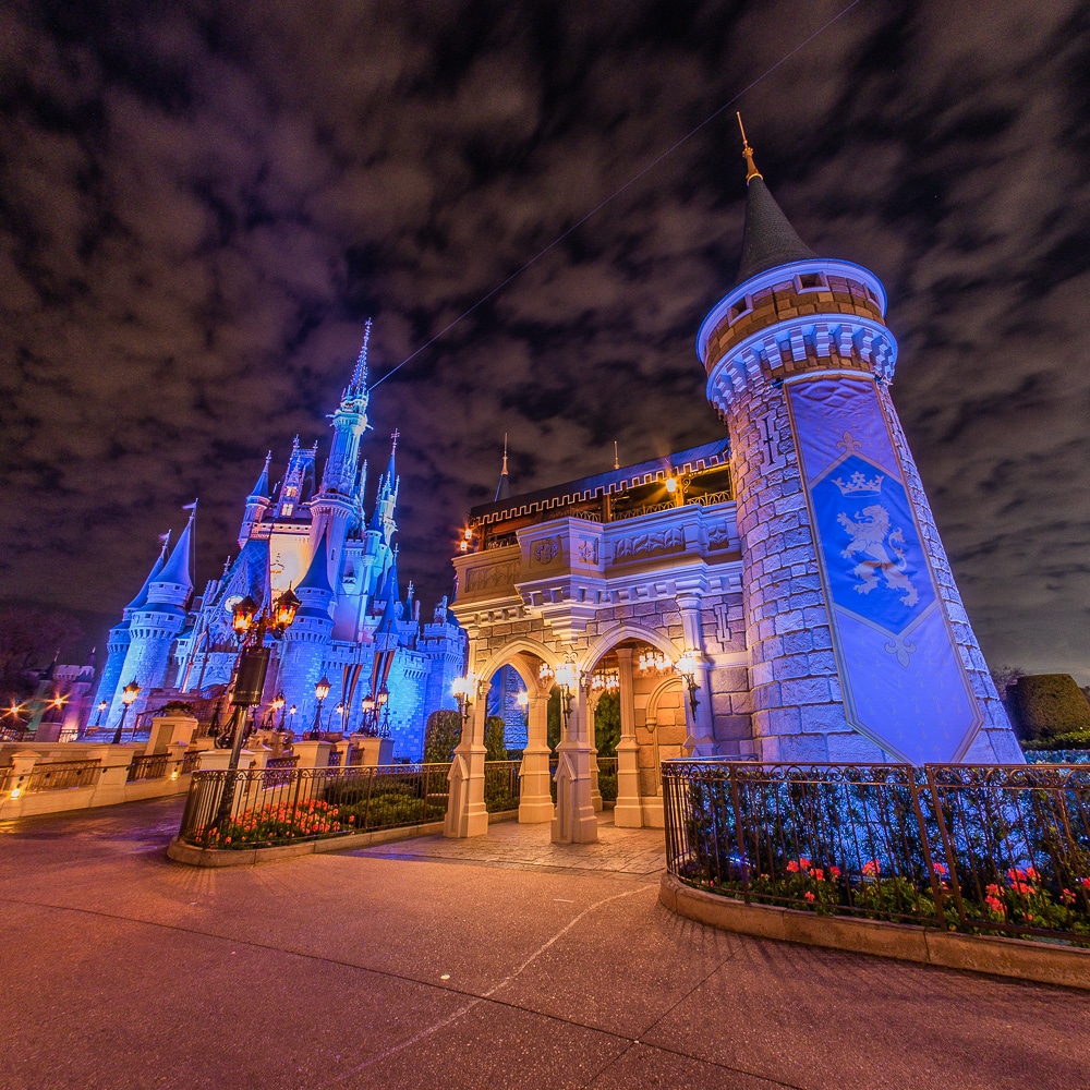 7 Disney Photography Tips For Great Photos 13